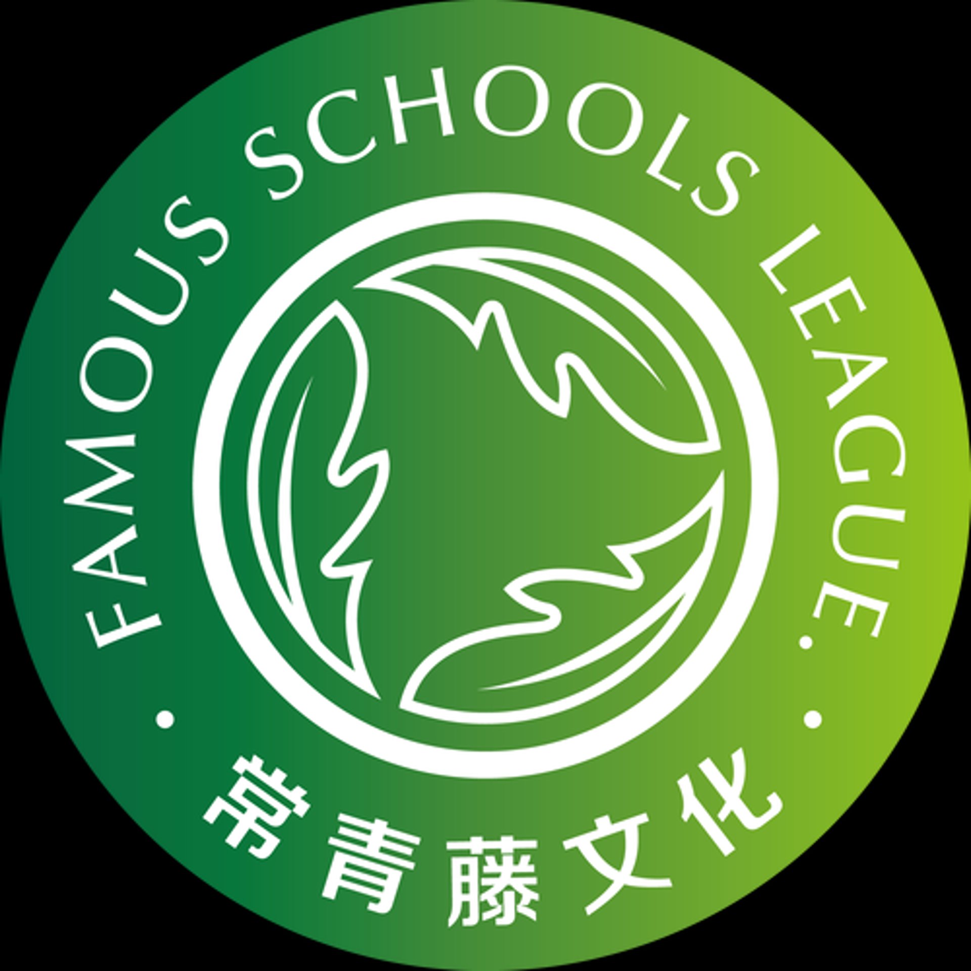 常青藤国际教育